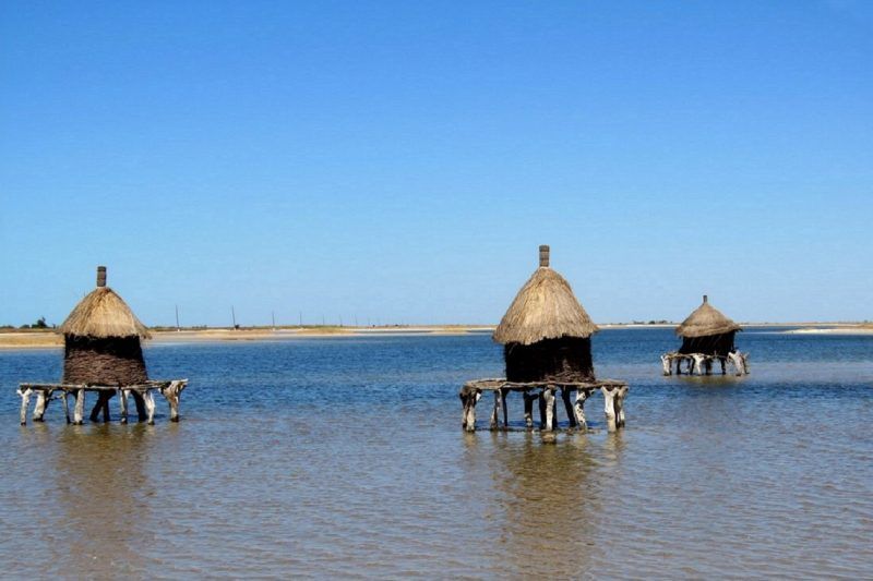 Spécial delta du Sine-Saloum